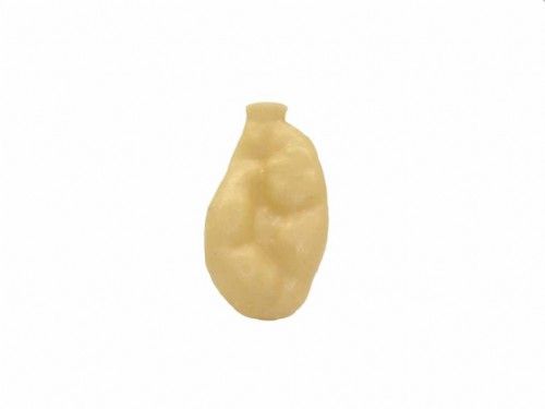Intestino