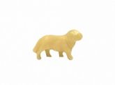 cachorro